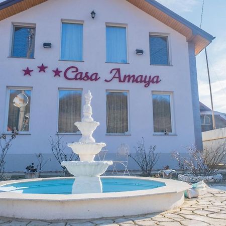 Casa Amaya Bacău Dış mekan fotoğraf
