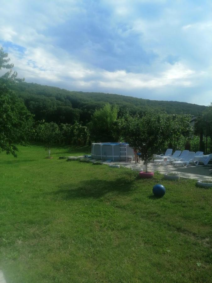 Casa Amaya Bacău Dış mekan fotoğraf