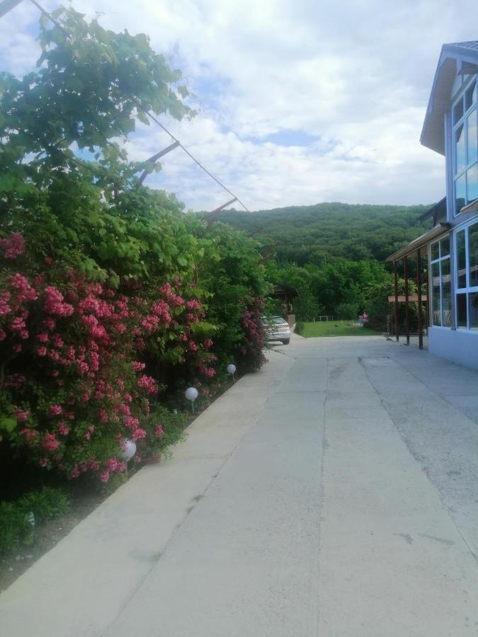 Casa Amaya Bacău Dış mekan fotoğraf