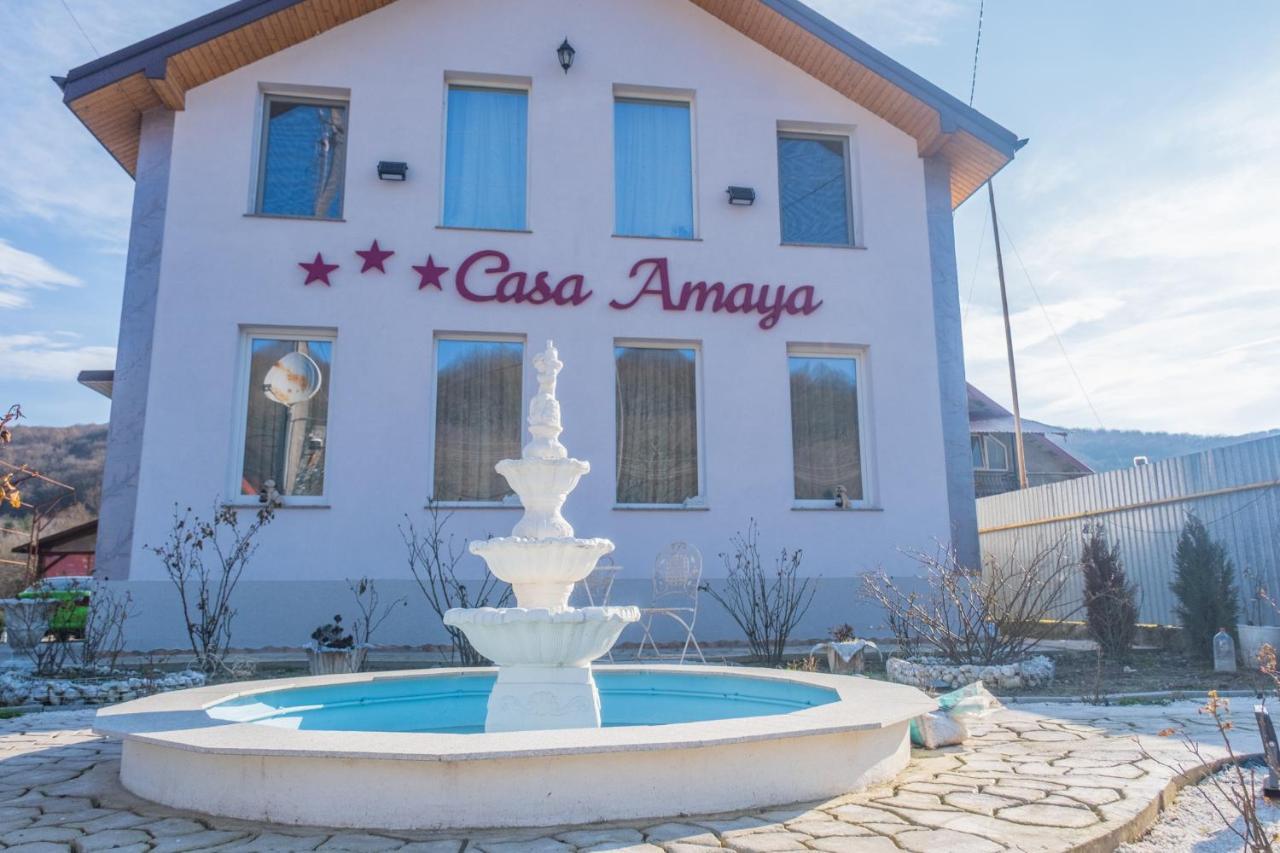 Casa Amaya Bacău Dış mekan fotoğraf